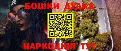 индика Обь