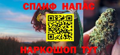 индика Обь