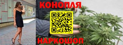 индика Обь