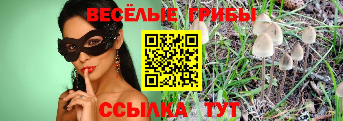 Южноуральск  Галлюциногенные грибы Psilocybe  Вход с VPN 